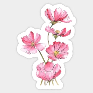 Pink Cosmos Flowers Watercolor Painting Sticker